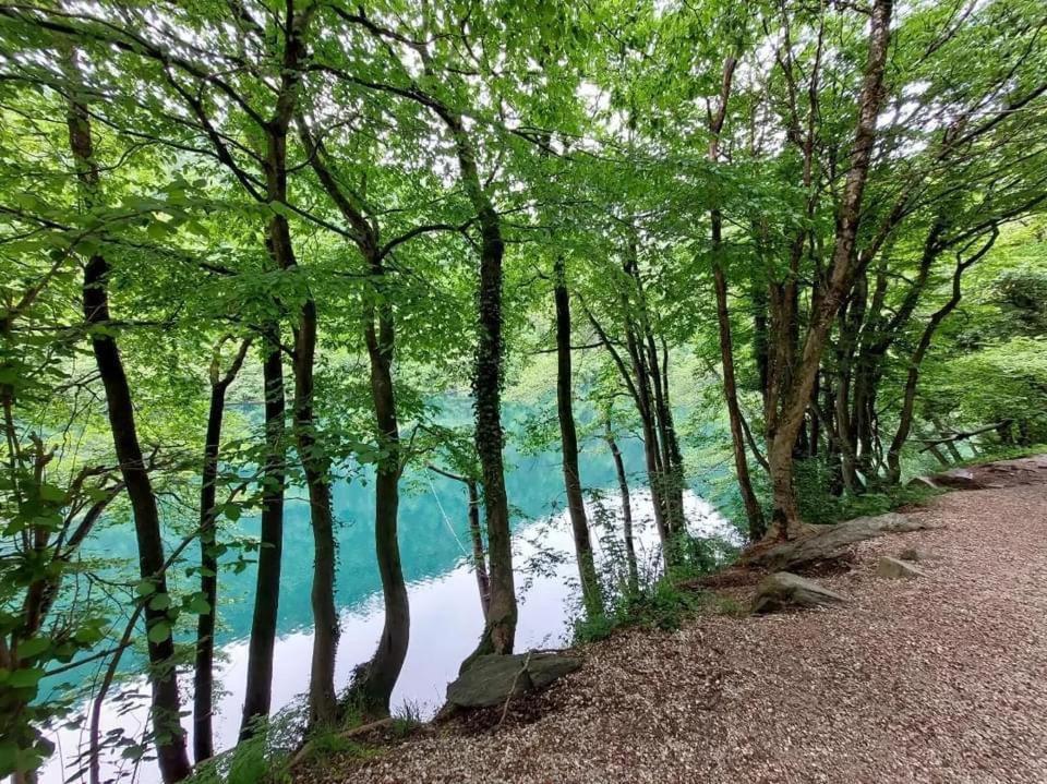 Апартаменты Casa Bosco Левико-Терме Экстерьер фото